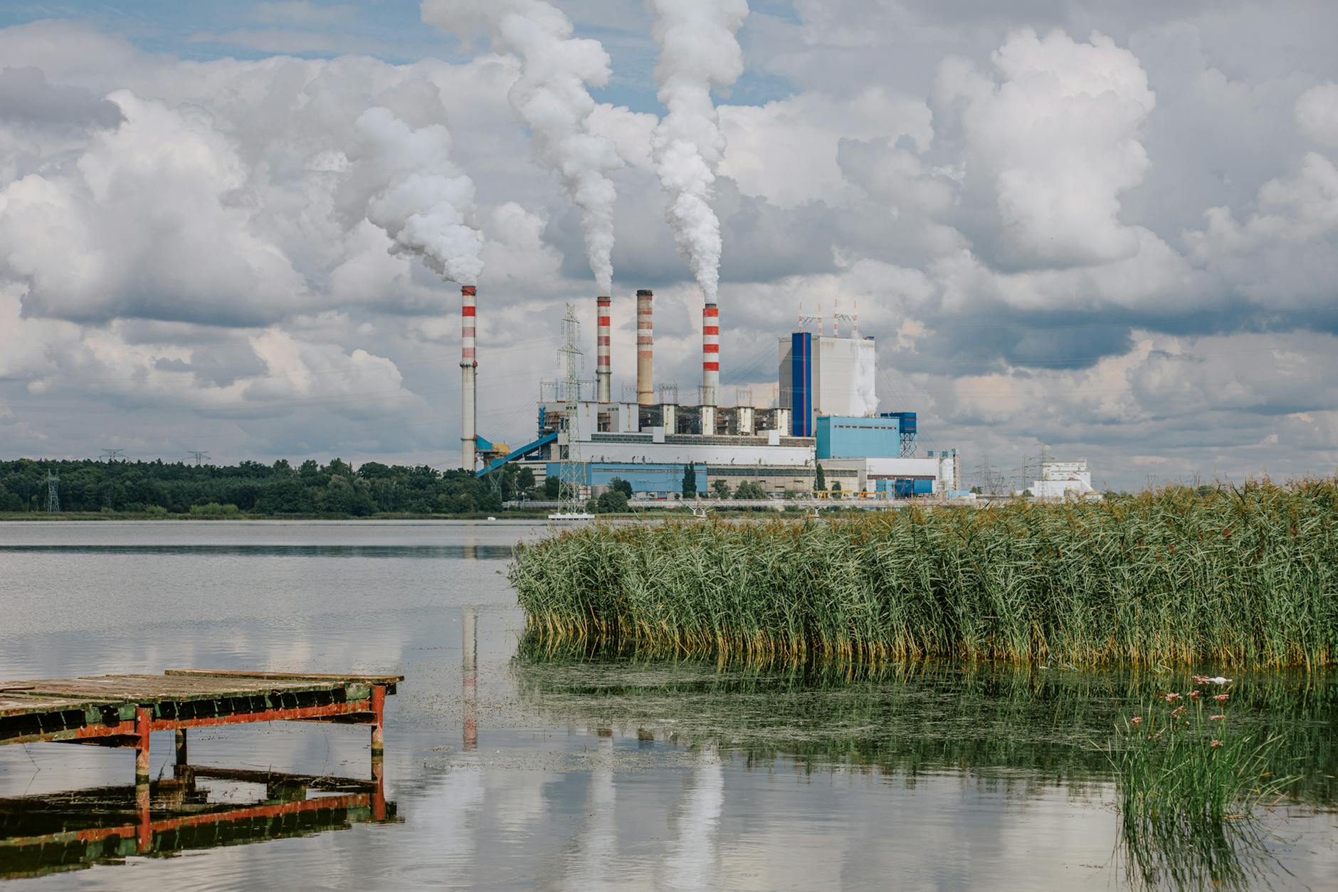 Mecz siatkarscy między PGE GiEK Skra Bełchatów a PGE Projekt Warszawa - transmisja na żywo